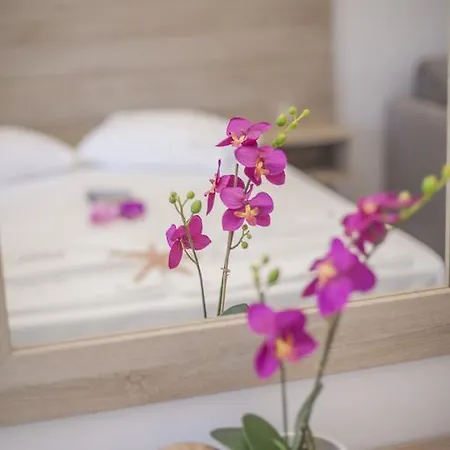 Aparthotel Aggelos & Deluxe 4*