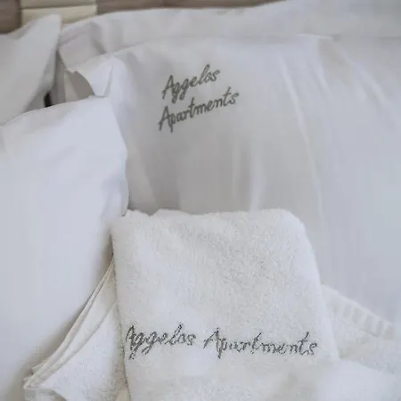 Lägenhetshotell Aggelos & Deluxe Nidhrion